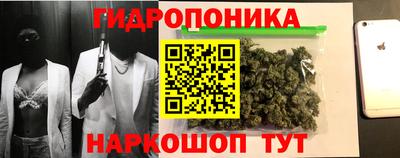 крисы Северобайкальск