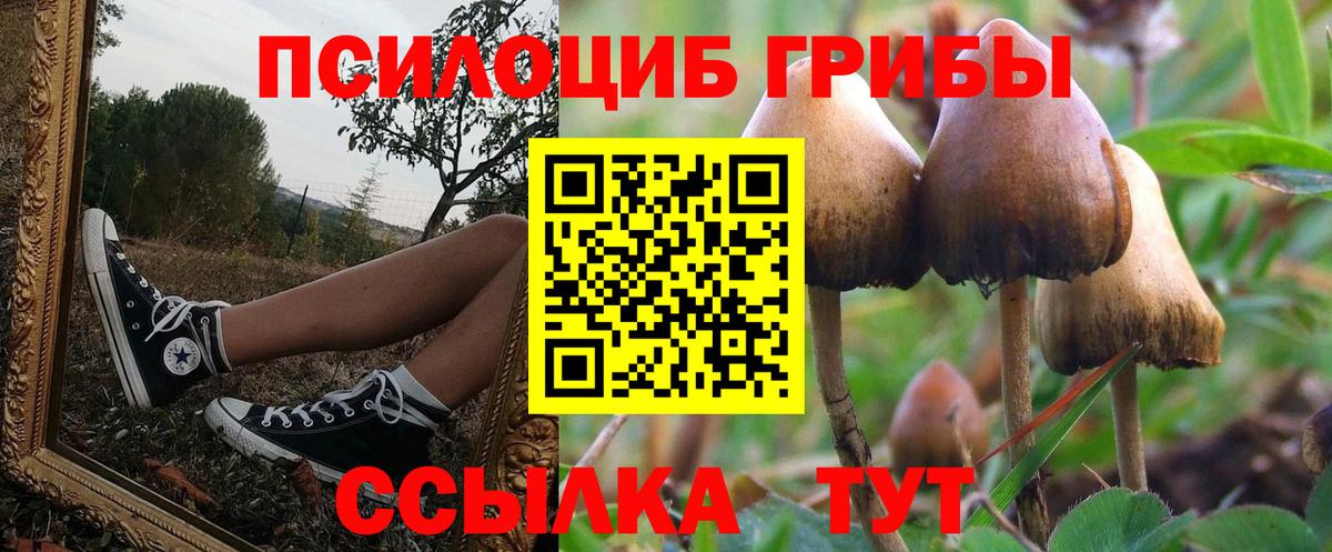 Псилоцибиновые грибы Cubensis  Вход с VPN  Стрежевой 